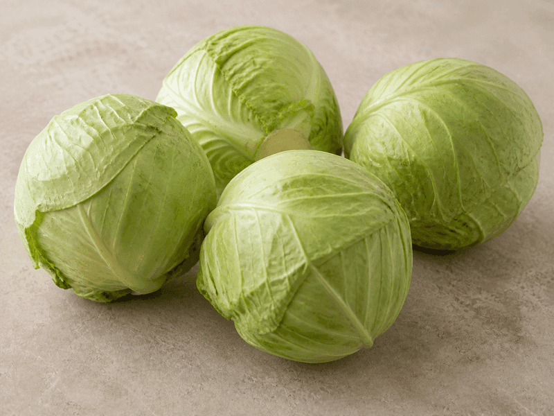 Cabbage (Bandhakopi)
